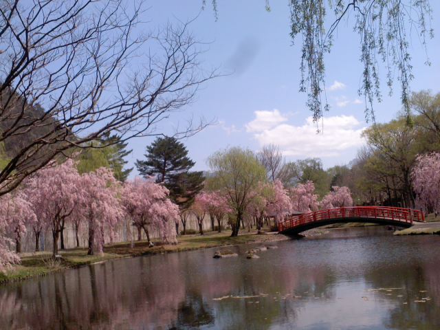 板や旅館 最新のお知らせ